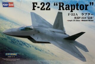 F-22 Raptor