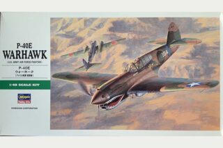 P-40E Warhawk (U.S. Army Air Force Fighter)